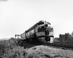 Local Trip